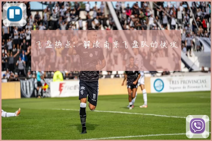 飞盘热点：解读南京飞盘队的快攻