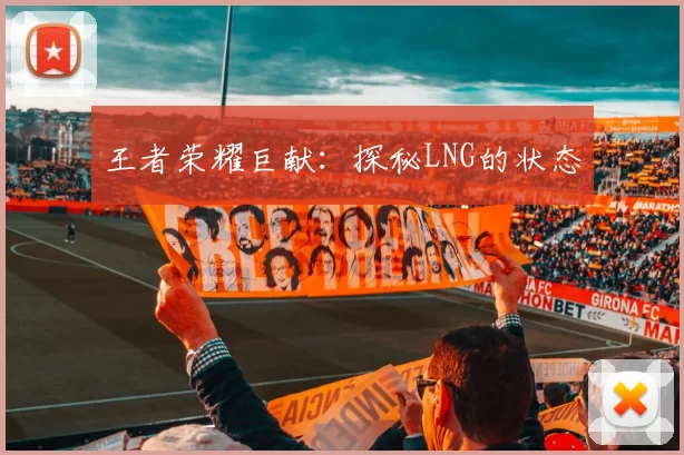 王者荣耀巨献：探秘LNG的状态